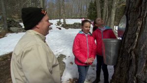Making Maple Syrup
