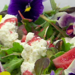 A Taste of Biltmore - "Estate Petite Green Salad"