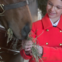 Beyond the Kitchen - "Horses Need Healthy Food and Exercise Too"