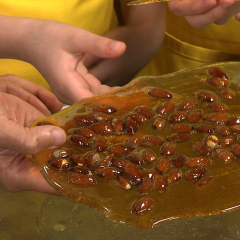 The Science of Sugar and the Chemistry of Baking - "Pralines"