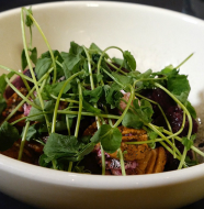 Flyte's Beet Salad