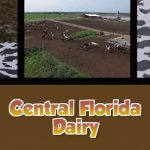 Central Florida Dairy