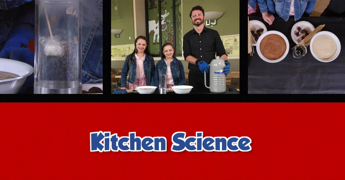 science in kitchen essay