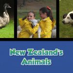 New Zealand’s Animals