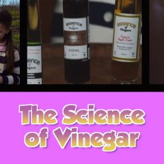 The Science of Vinegar