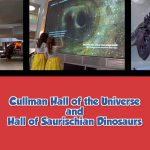 Cullman Hall of the Universe and Hall of the Saurischian Dinosaurs
