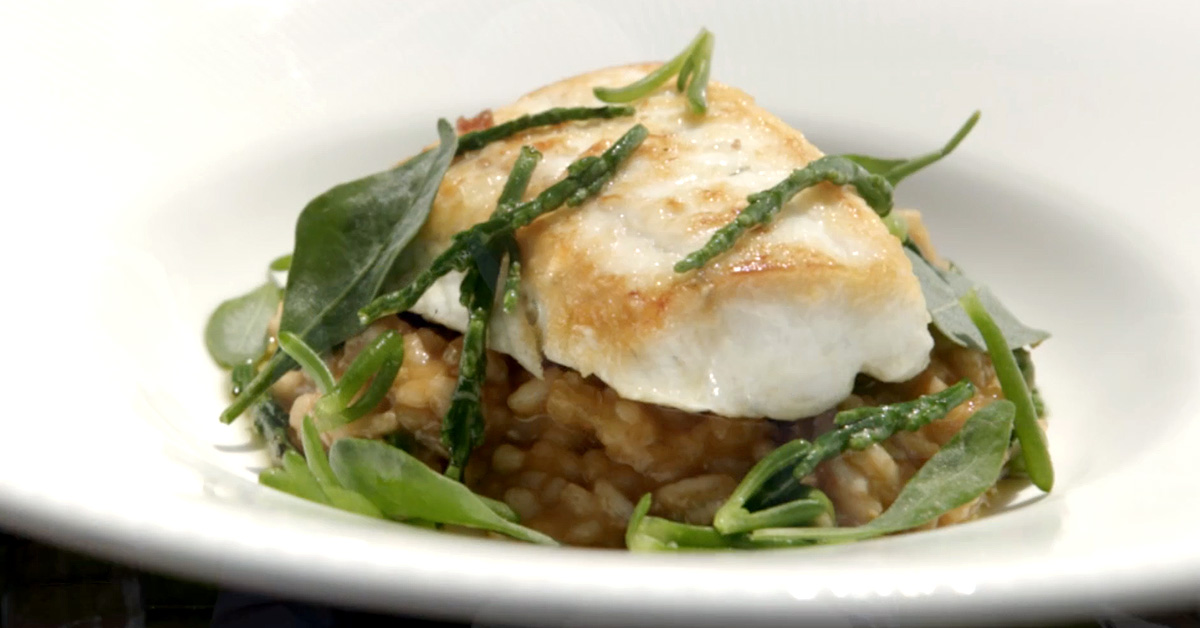 Pan Fried Gigha Halibut - Twice as Good