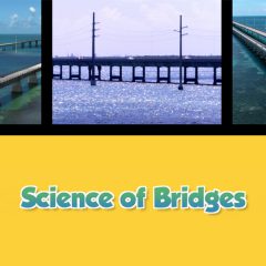 Twice as Good, Beyond the Kitchen: A Taste of Key West - Science of Bridges