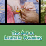 Twice as Good - Beyond the Kitchen: The Art of Lauhala Weaving