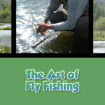 Twice as Good - Beyond the Kitchen: The Art of Fly Fishing