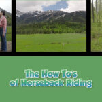 Twice as Good - Beyond the Kitchen: The How To’s of Horseback Riding