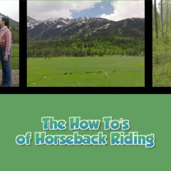 Twice as Good - Beyond the Kitchen: The How To’s of Horseback Riding